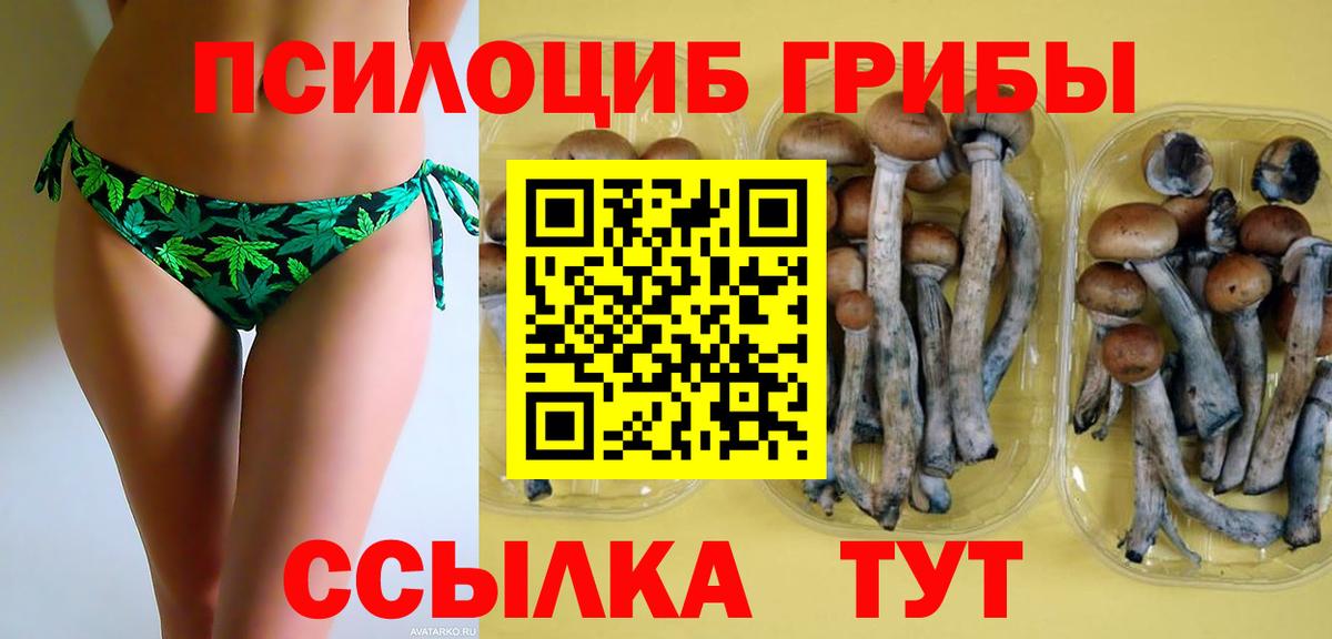 Галлюциногенные грибы прущие грибы Волгодонск